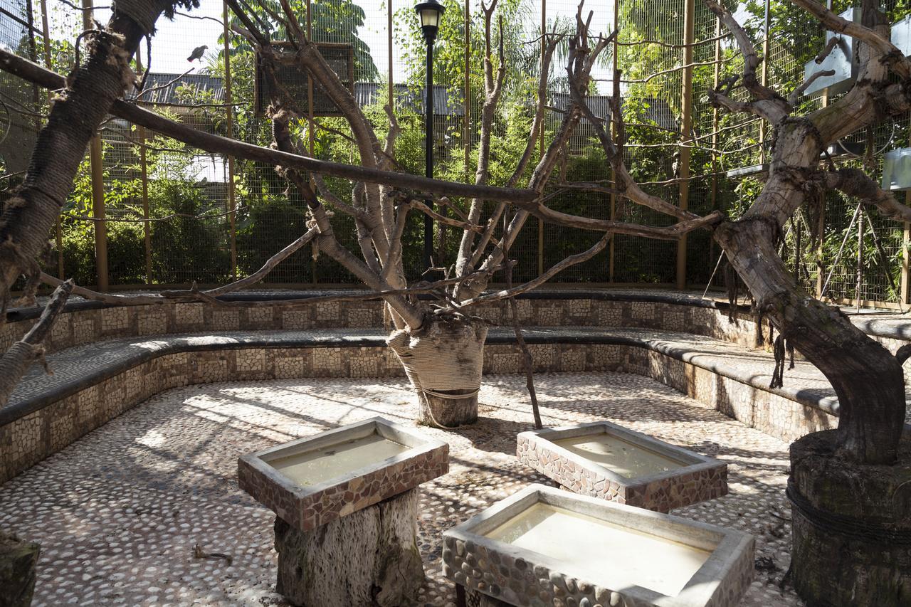 Bungalows Y Temazcal Zoviq Ξενοδοχείο Xochitepec Εξωτερικό φωτογραφία